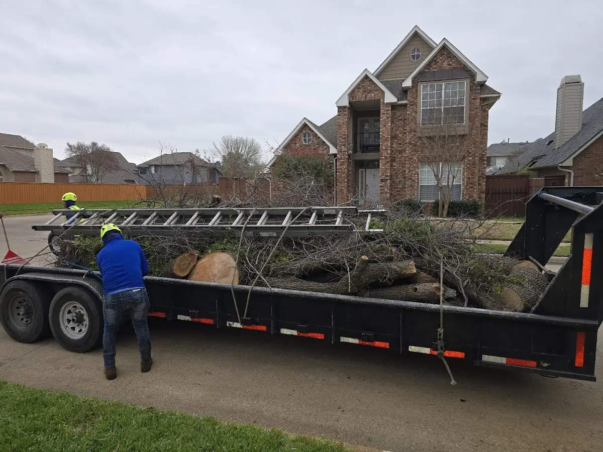 Expert Lot Clearing with proper safety equipment in New Melle